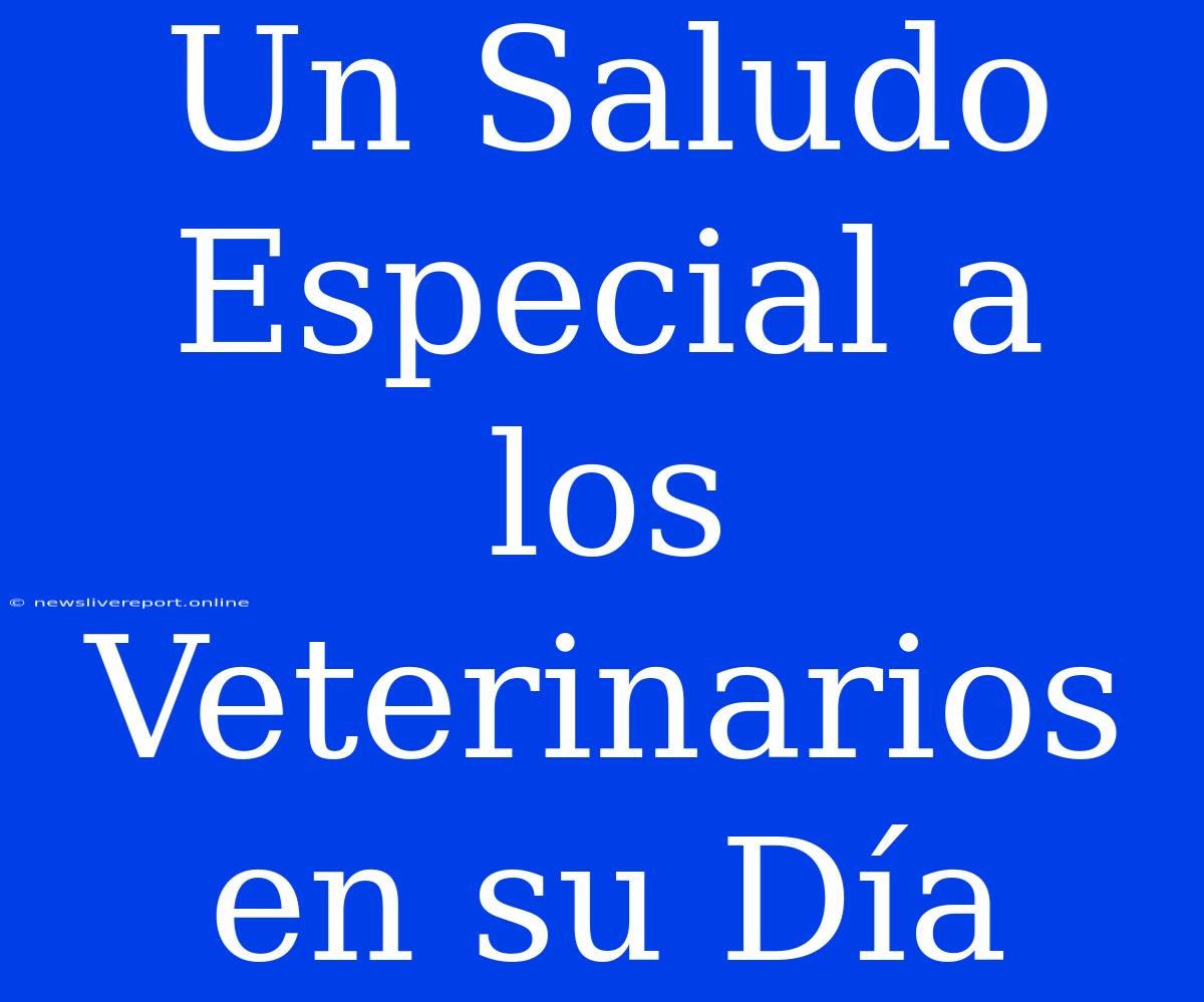 Un Saludo Especial A Los Veterinarios En Su Día