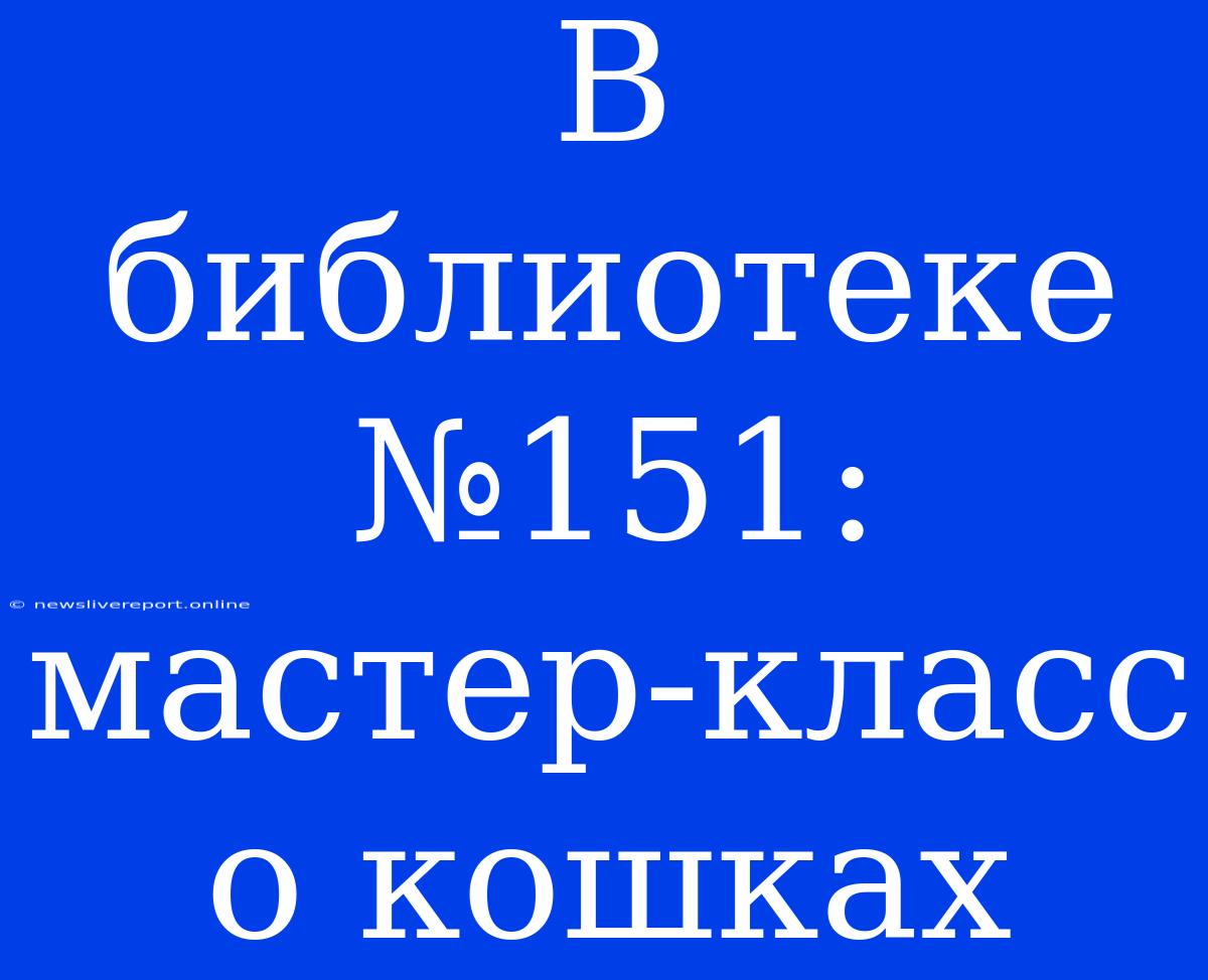 В Библиотеке №151: Мастер-класс О Кошках