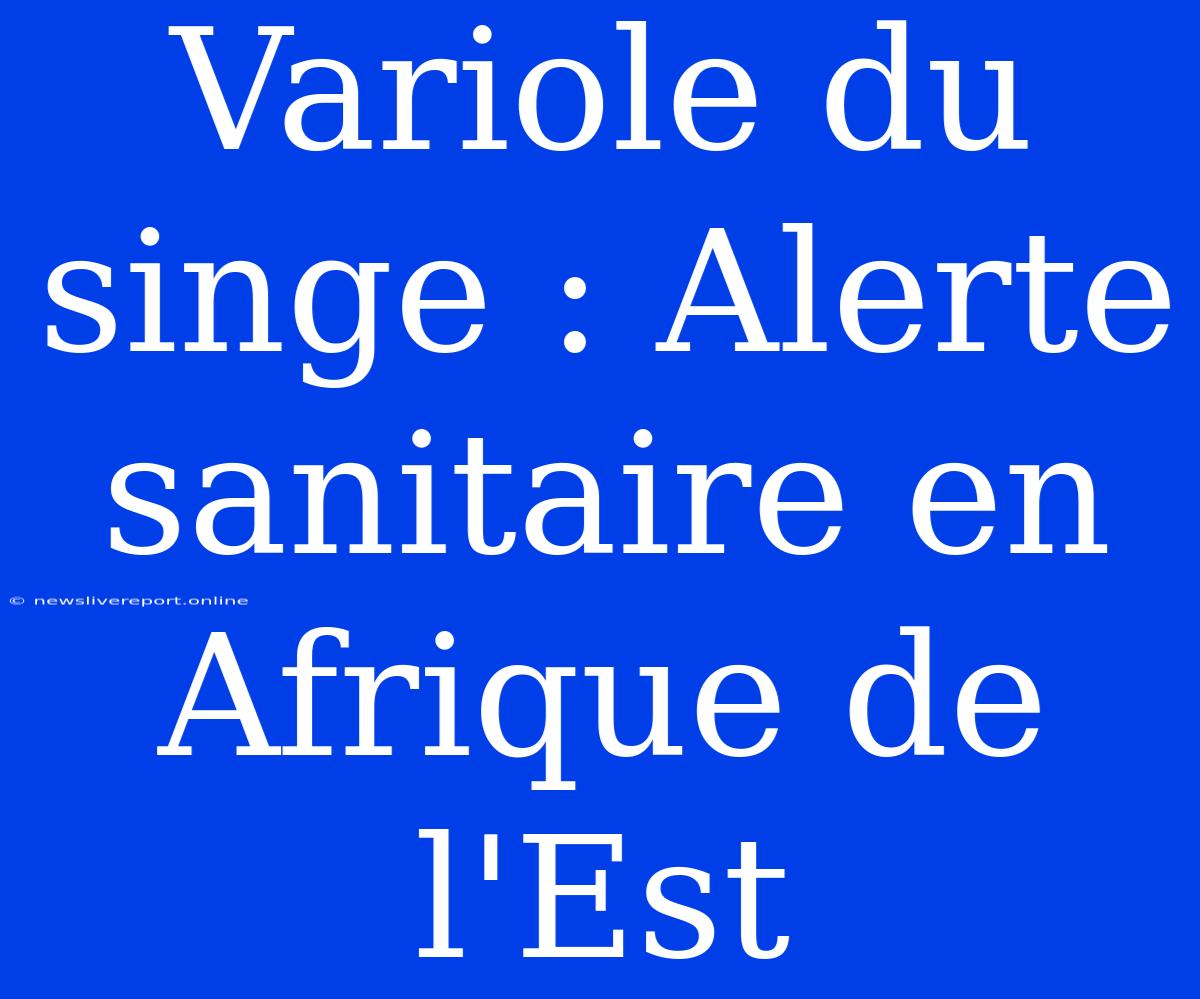 Variole Du Singe : Alerte Sanitaire En Afrique De L'Est