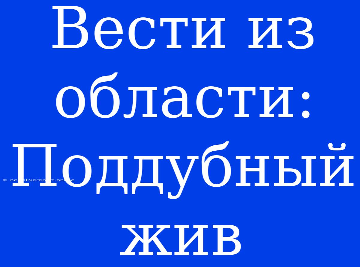 Вести Из Области: Поддубный Жив