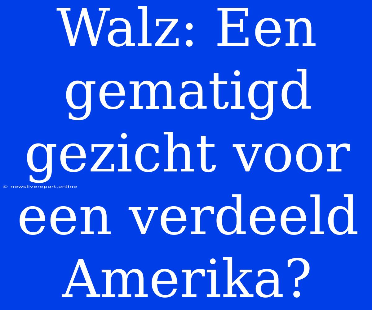 Walz: Een Gematigd Gezicht Voor Een Verdeeld Amerika?