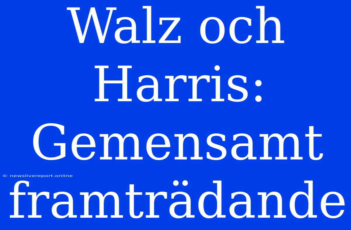 Walz Och Harris: Gemensamt Framträdande