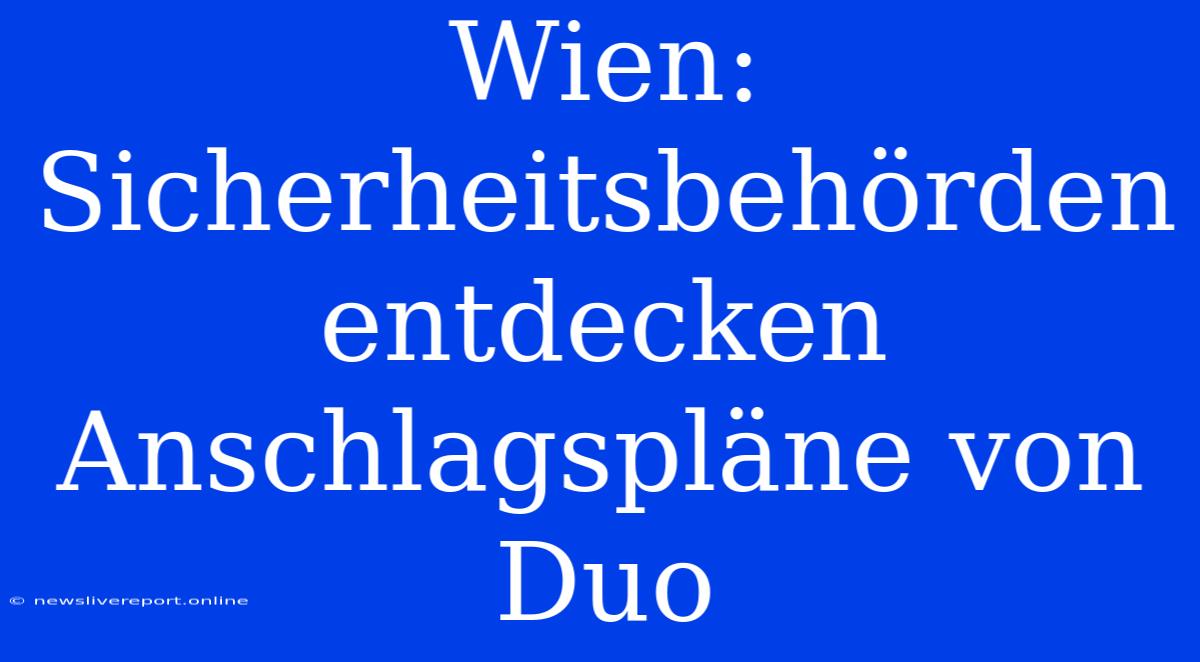 Wien: Sicherheitsbehörden Entdecken Anschlagspläne Von Duo