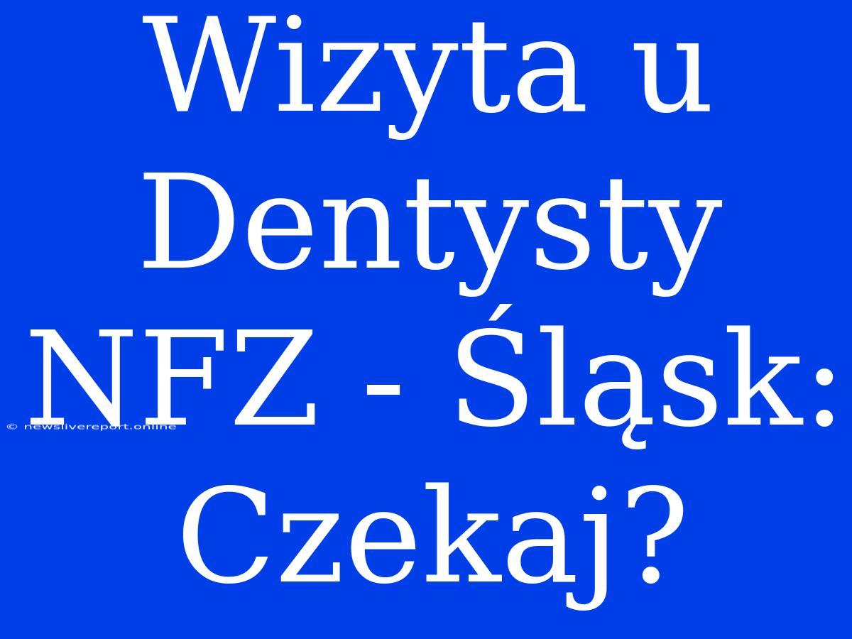 Wizyta U Dentysty NFZ - Śląsk: Czekaj?