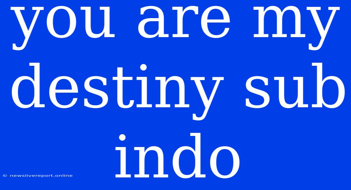 You Are My Destiny Sub Indo