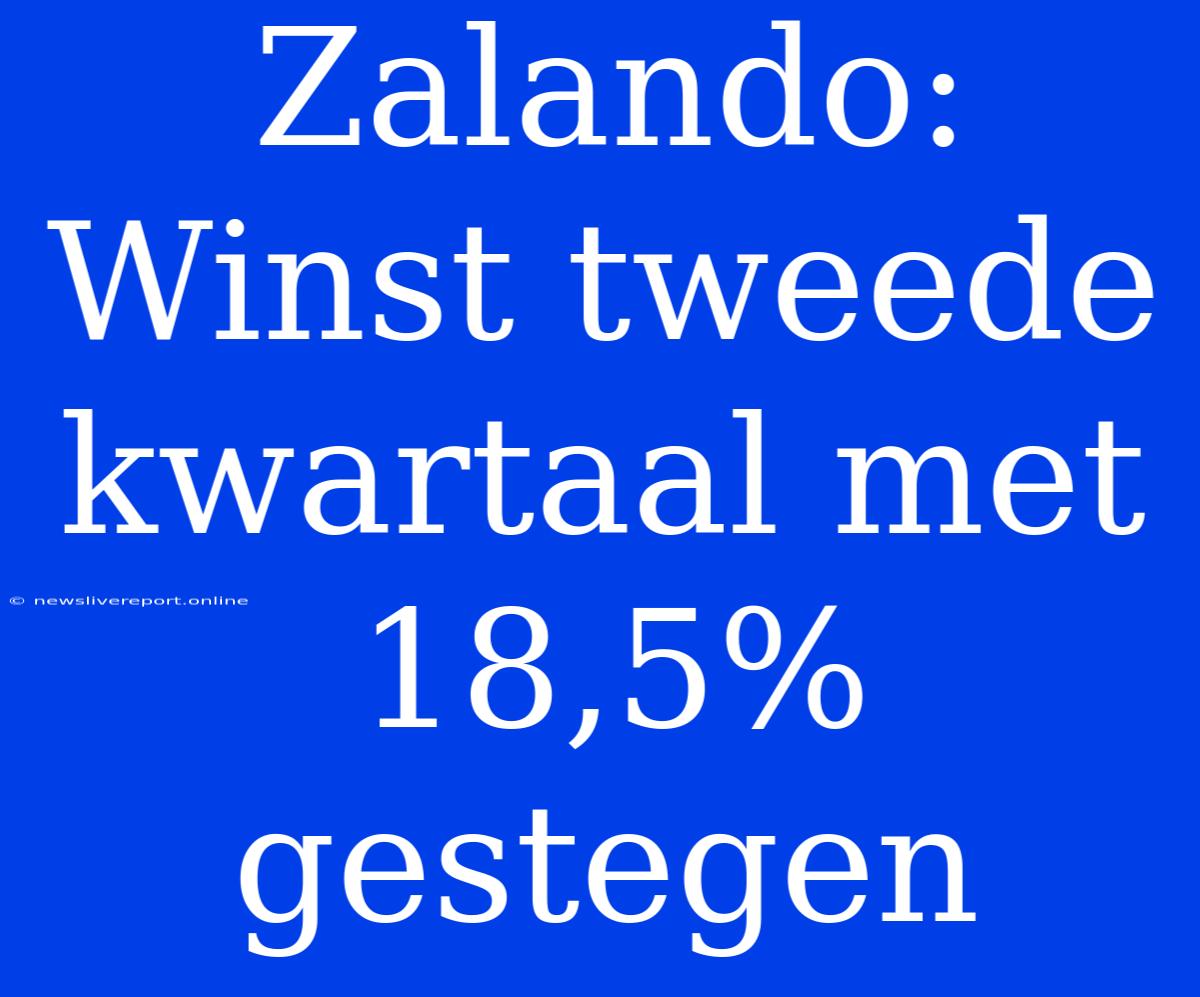 Zalando: Winst Tweede Kwartaal Met 18,5% Gestegen