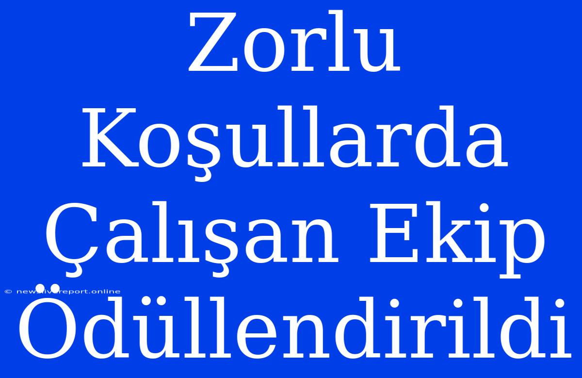 Zorlu Koşullarda Çalışan Ekip Ödüllendirildi